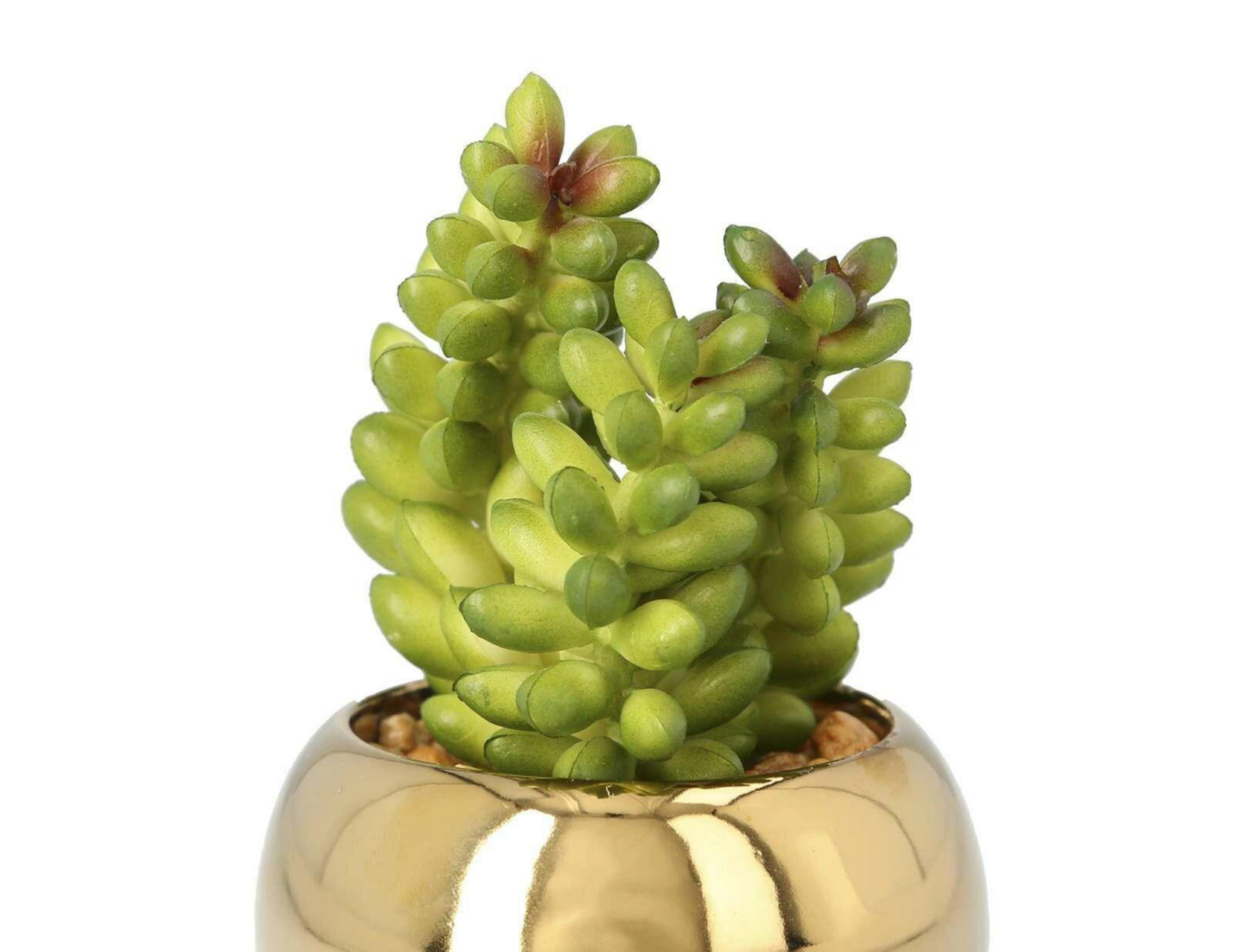 Foto 5 pulgar | Set de Plantas Decorativas Starhaus
