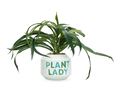 Foto 1 | Planta Artificial con Maceta Starhaus 35 cm