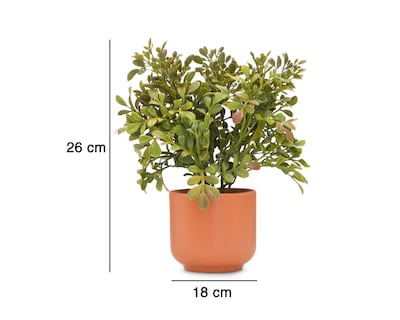 Foto 4 | Suculenta Artificial con Maceta Starhaus 26 cm