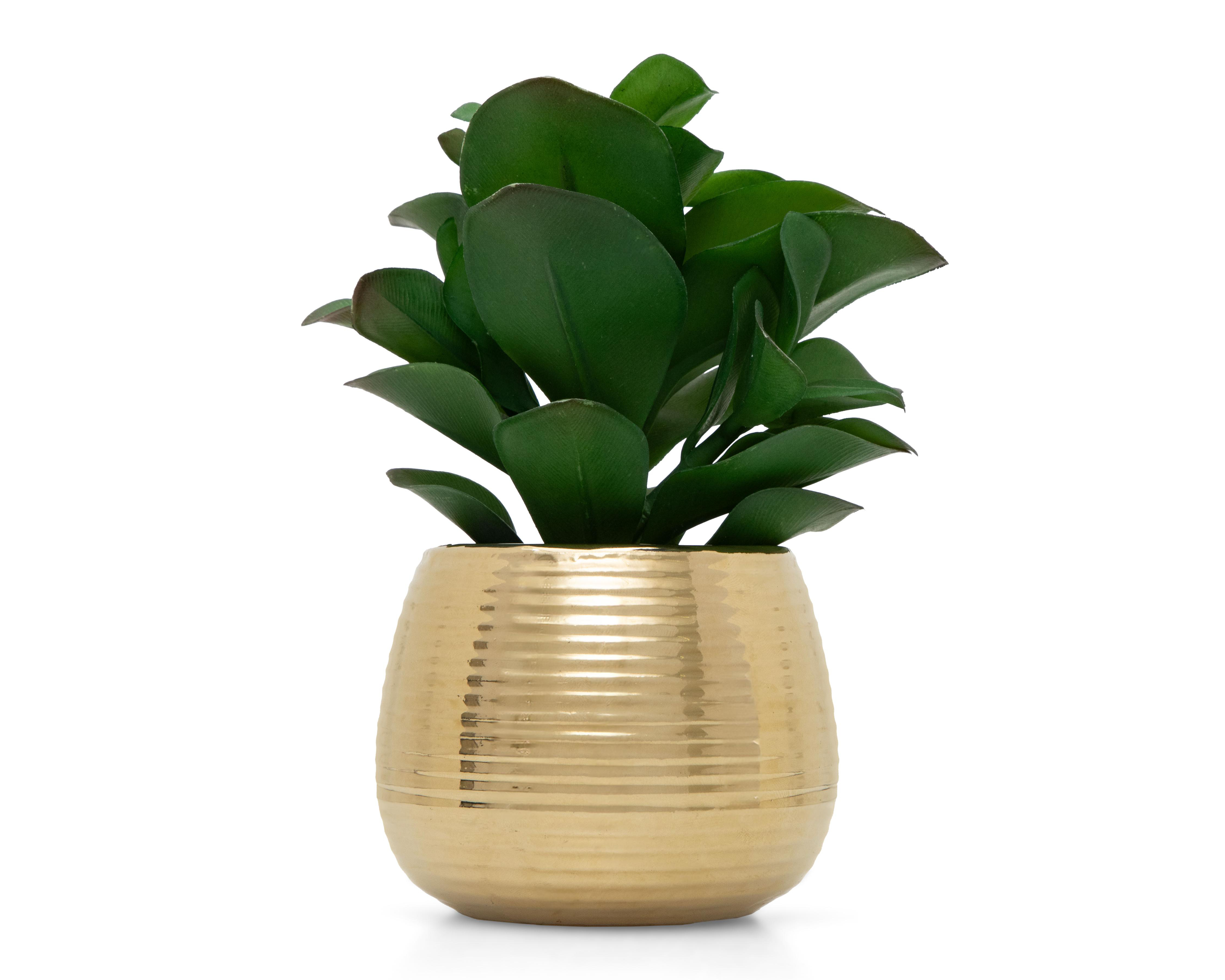 Foto 1 | Planta Artificial con Maceta Starhaus 15.8 cm
