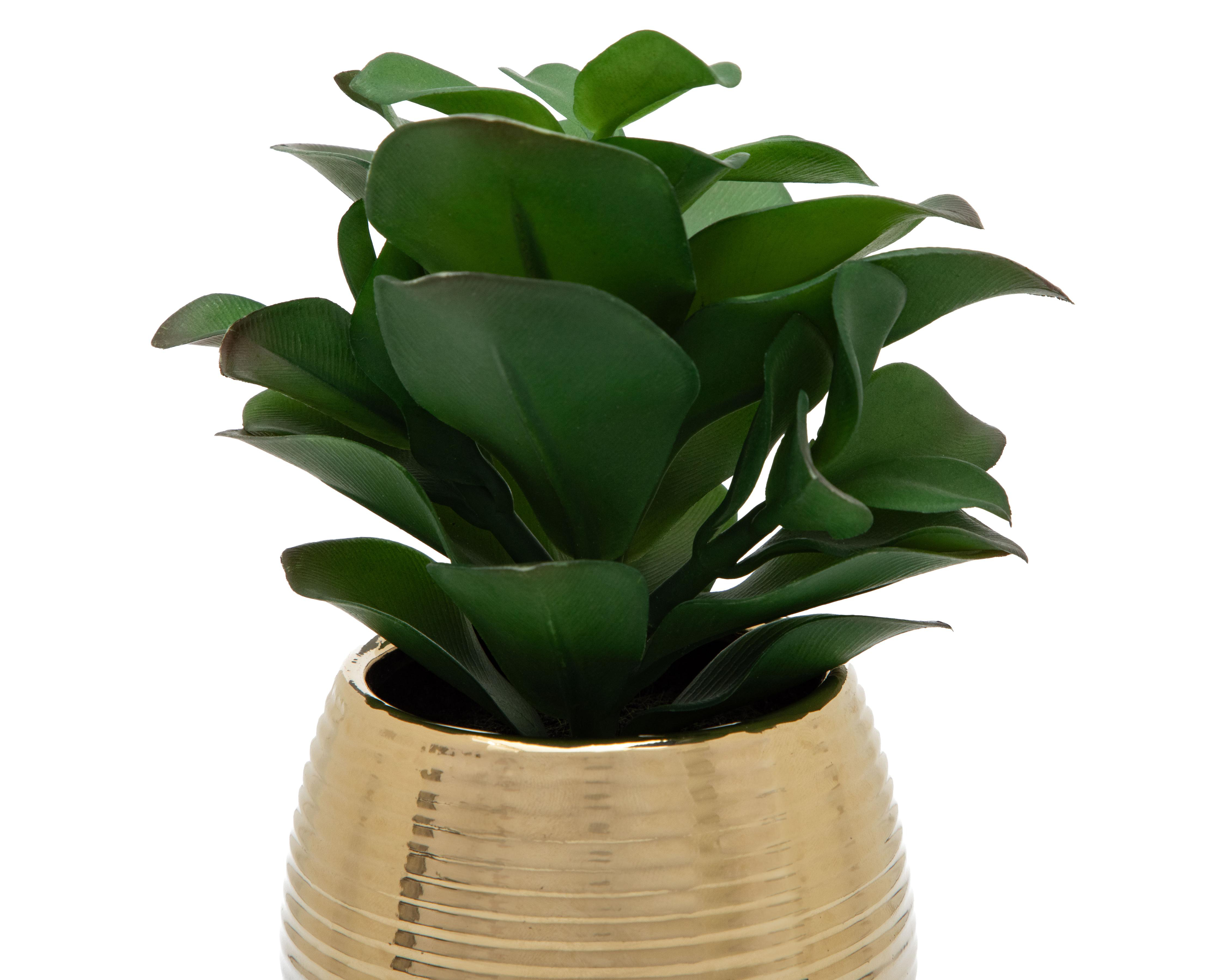 Foto 3 | Planta Artificial con Maceta Starhaus 15.8 cm