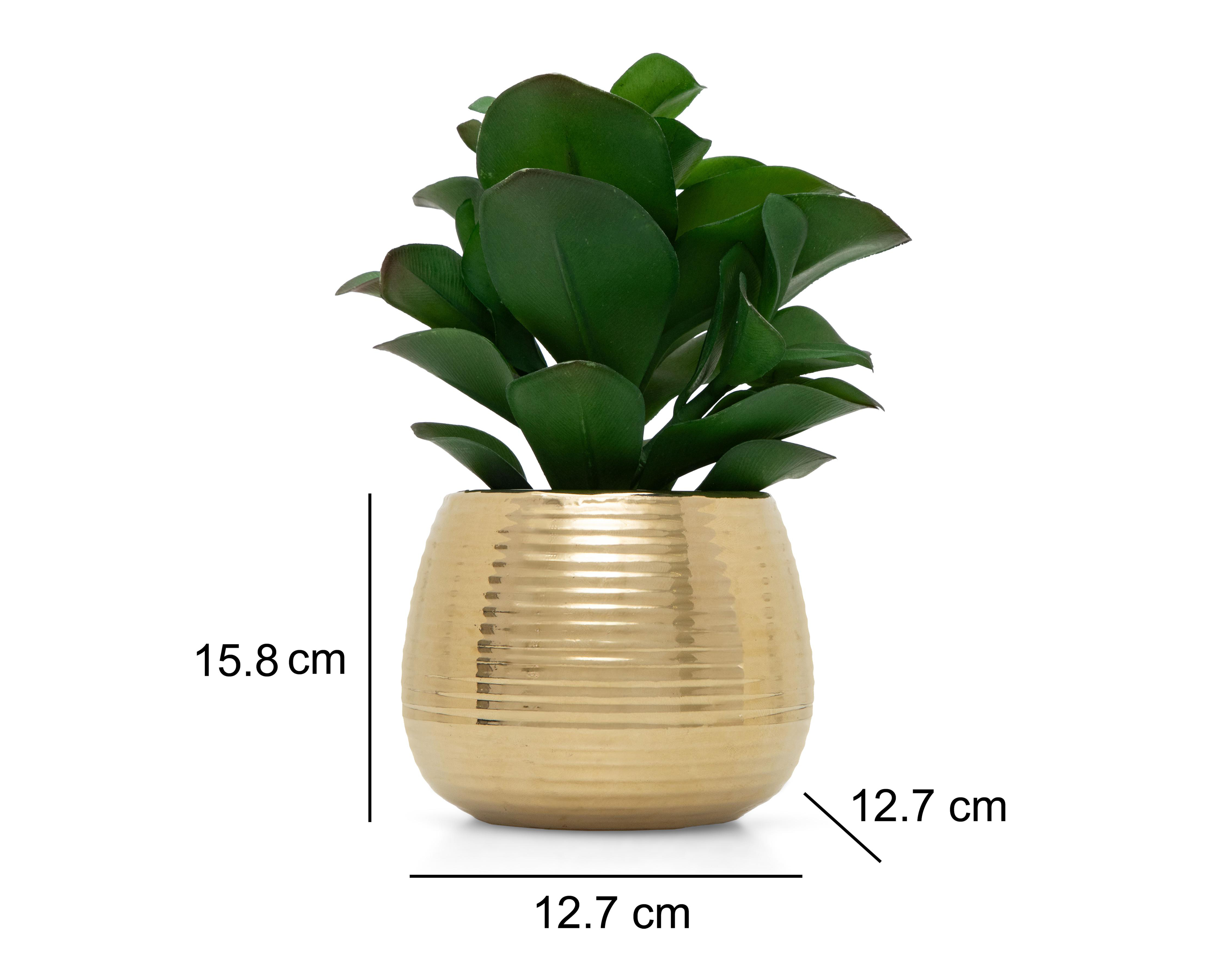 Foto 6 pulgar | Planta Artificial con Maceta Starhaus 15.8 cm