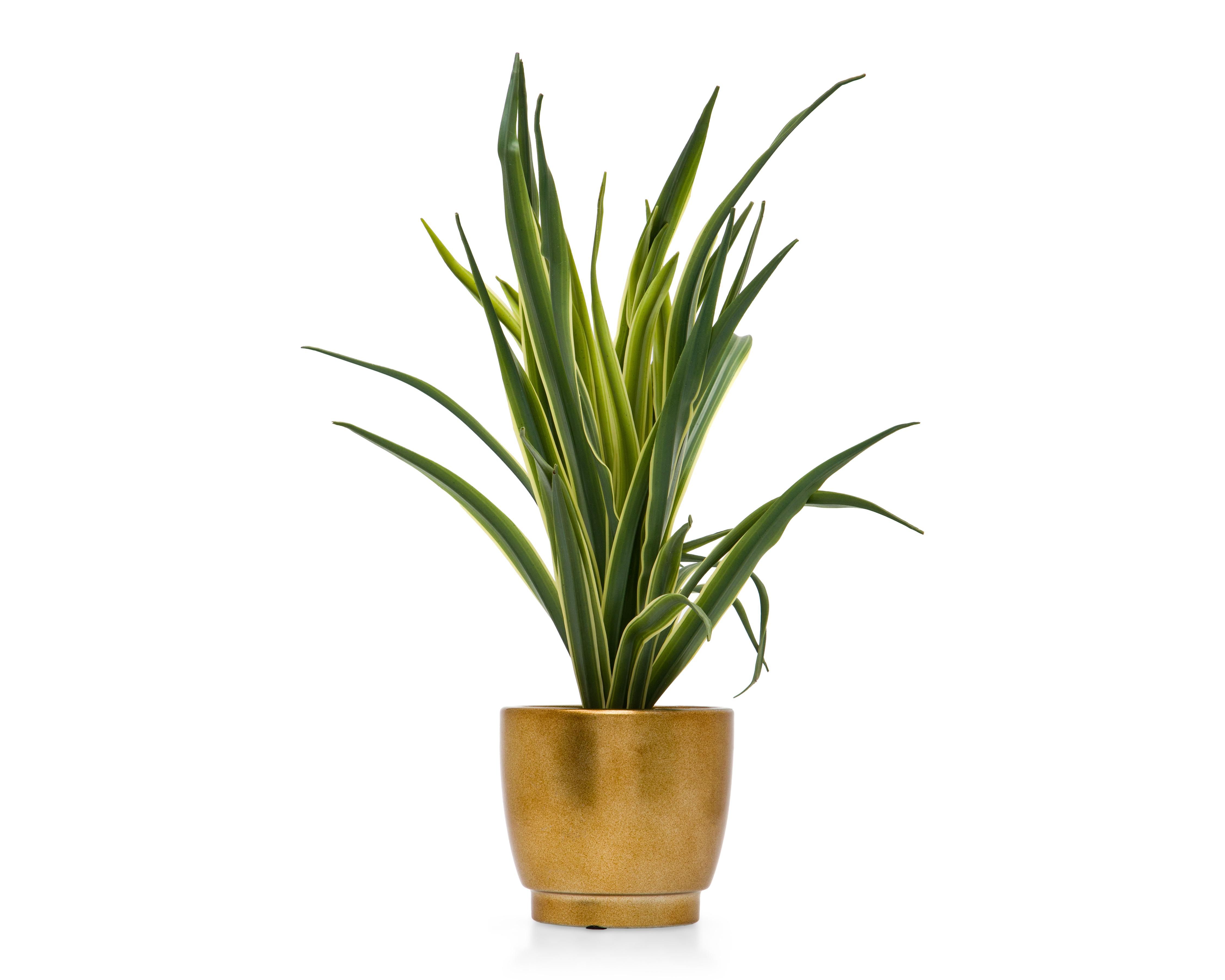 Suculenta Artificial con Maceta Starhaus 40 cm