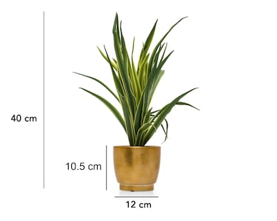 Foto 5 | Suculenta Artificial con Maceta Starhaus 40 cm