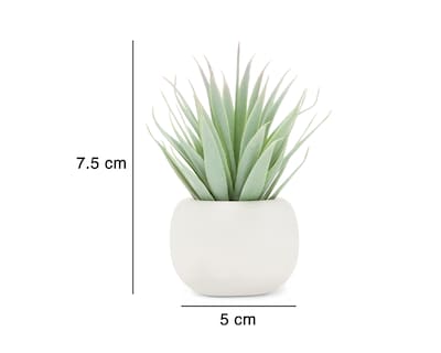 Foto 5 | Suculenta con Maceta 7.5 cm