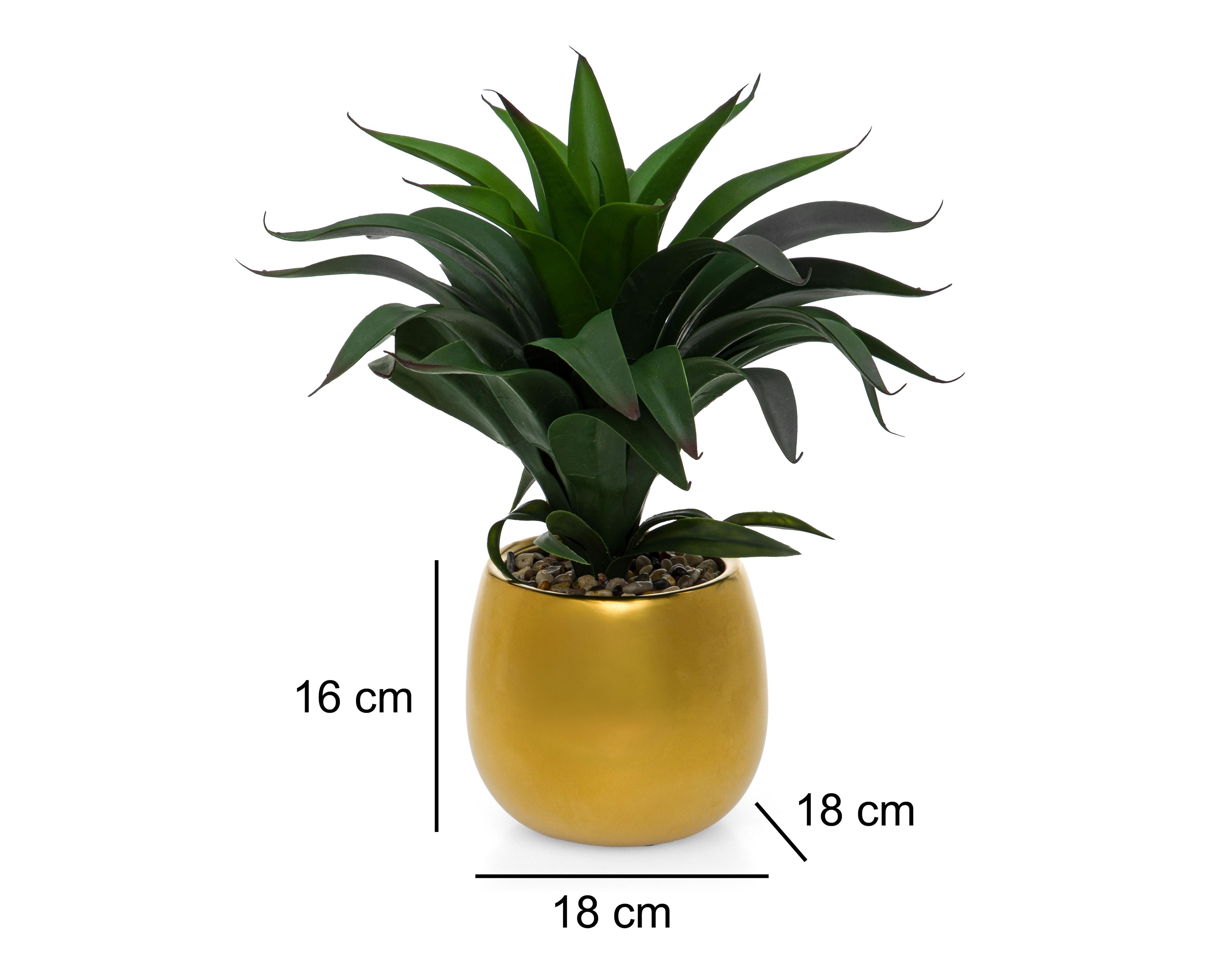 Foto 5 | Suculenta con Maceta Starhaus 16 cm
