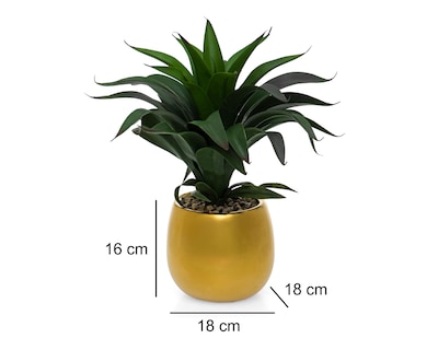Foto 5 | Suculenta con Maceta Starhaus 16 cm