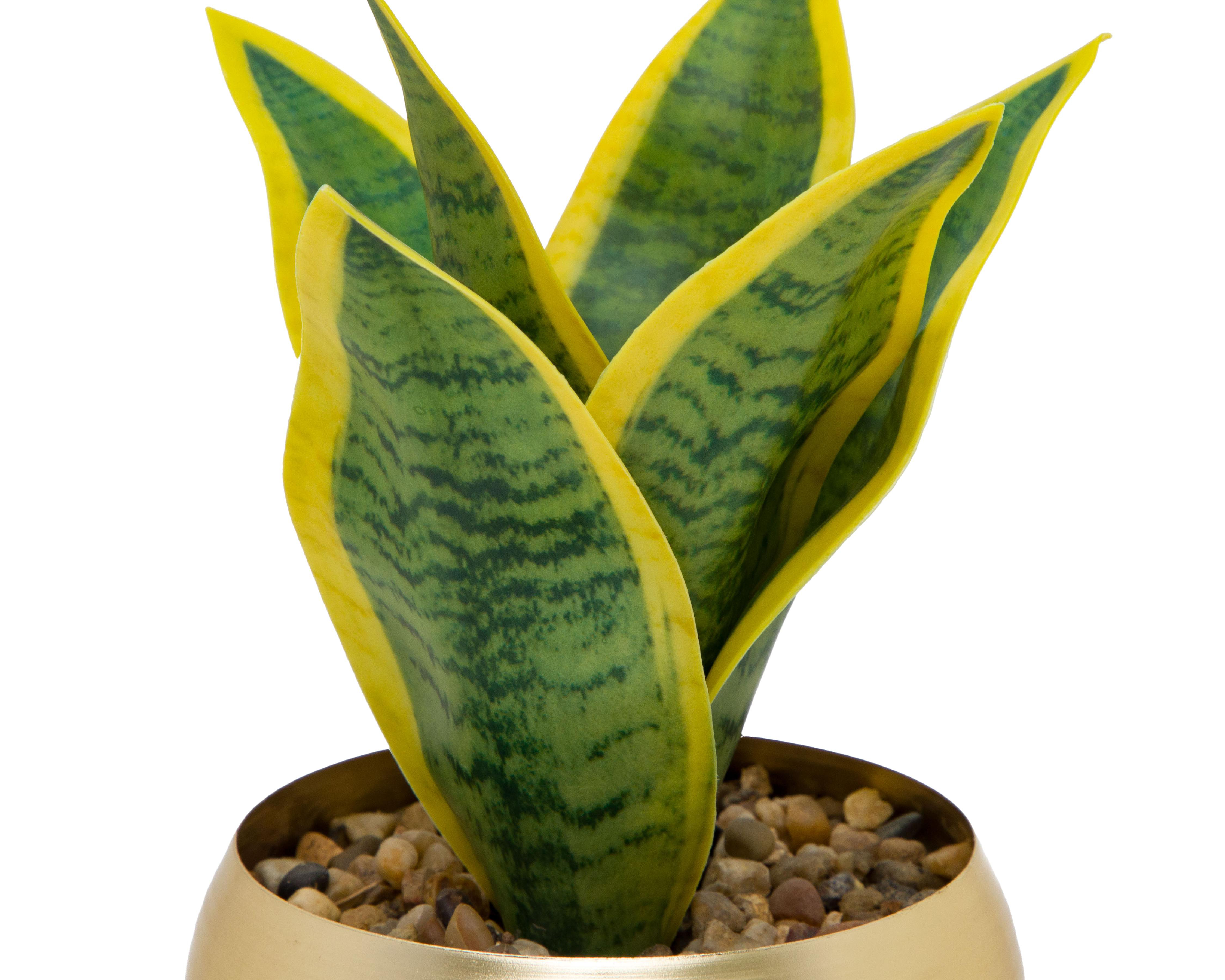 Foto 4 pulgar | Planta Artificial con Maceta Starhaus 18.5 cm