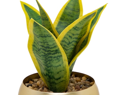 Foto 3 | Planta Artificial con Maceta Starhaus 18.5 cm