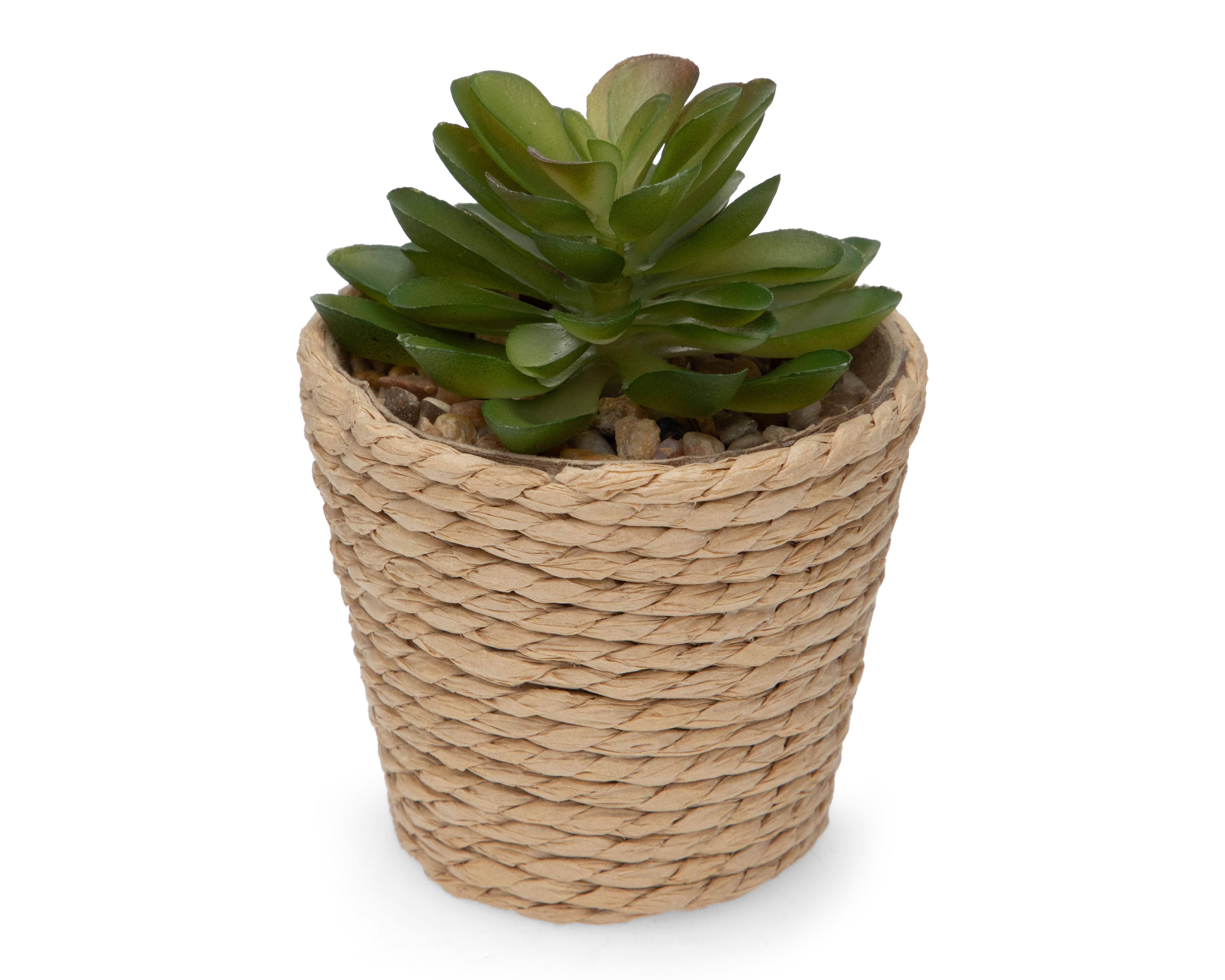 Foto 3 pulgar | Planta Artificial con Maceta Starhaus 12 cm