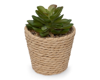 Foto 2 | Planta Artificial con Maceta Starhaus 12 cm