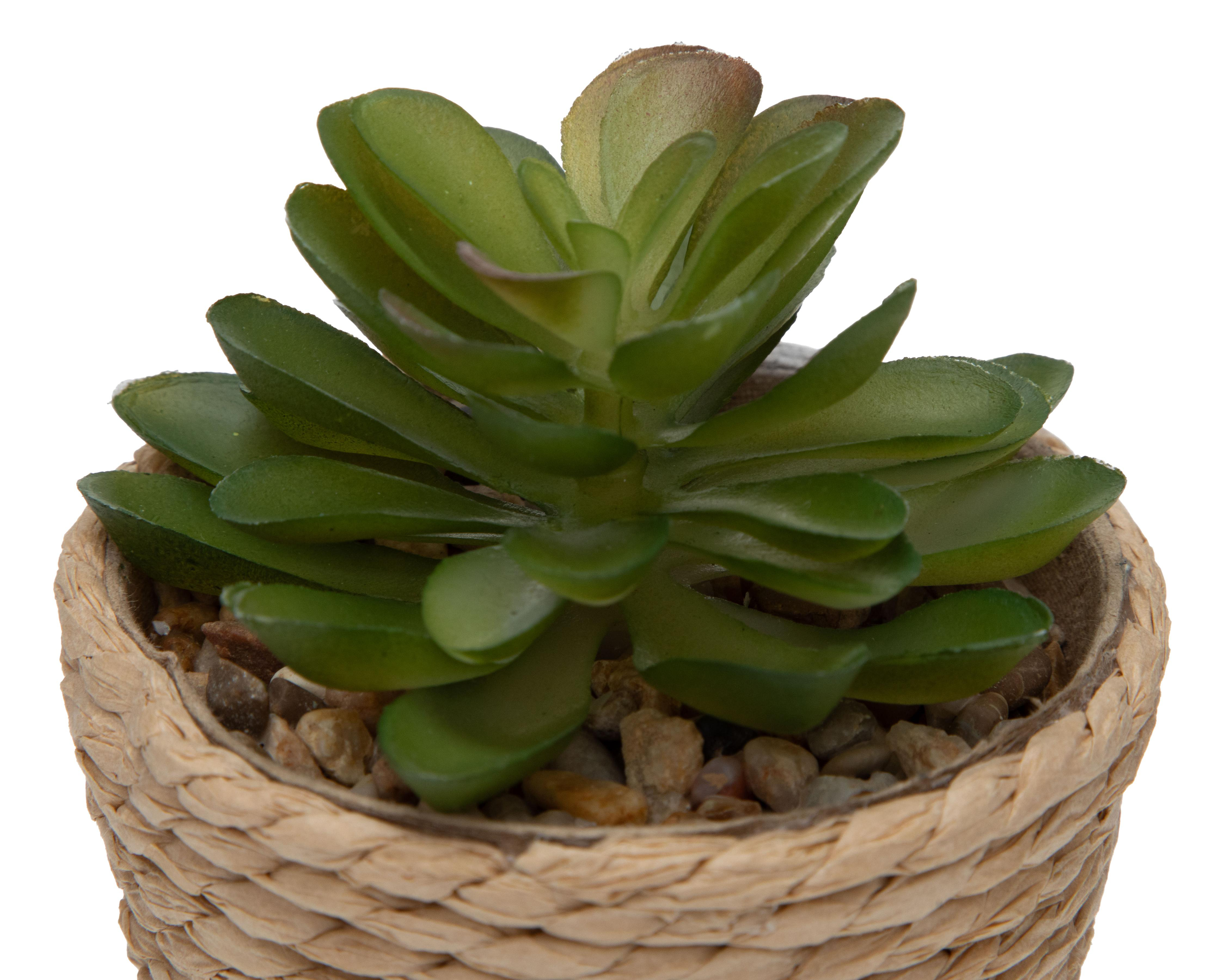 Foto 3 | Planta Artificial con Maceta Starhaus 12 cm