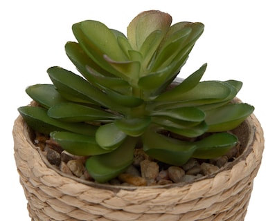 Foto 3 | Planta Artificial con Maceta Starhaus 12 cm