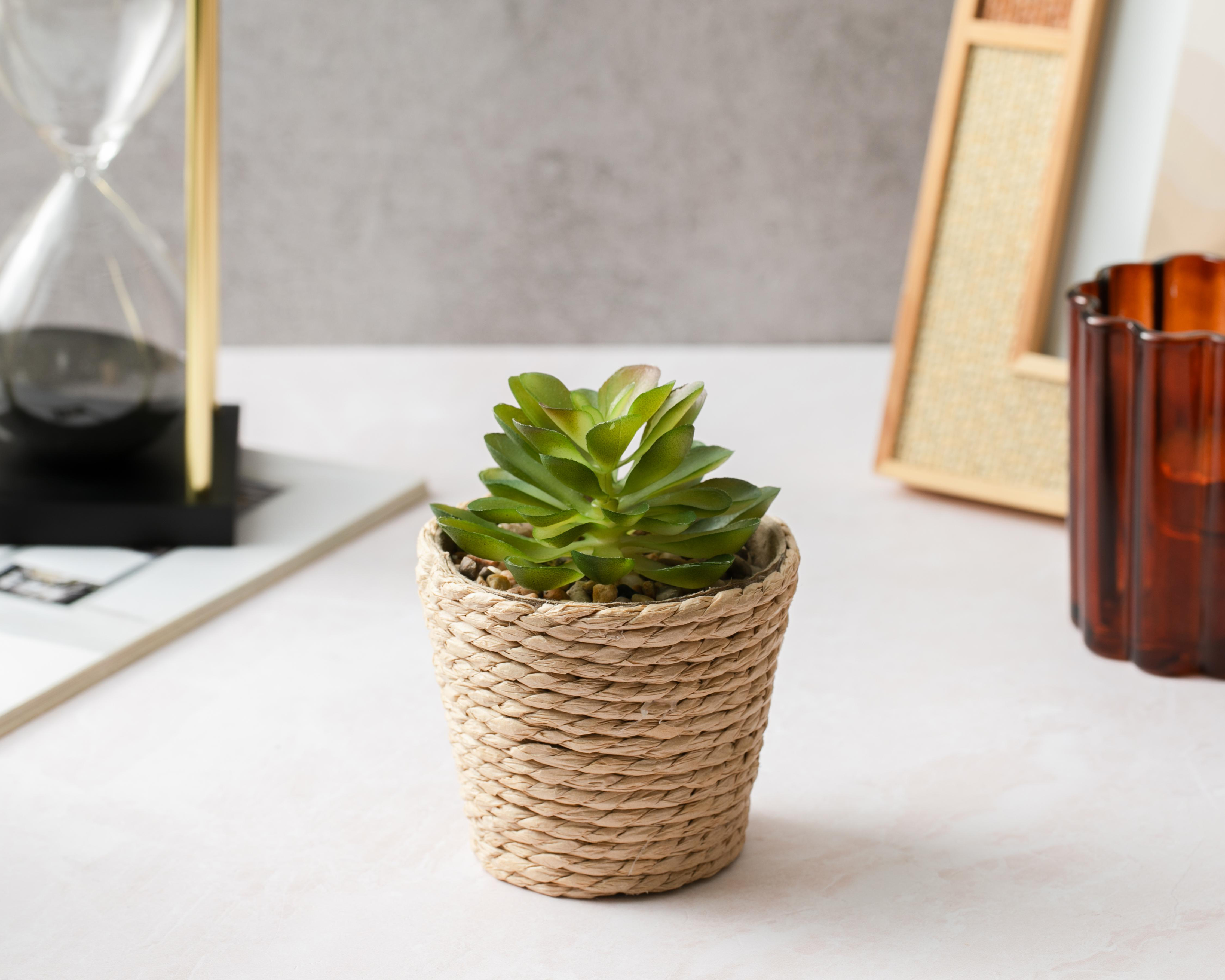 Foto 5 pulgar | Planta Artificial con Maceta Starhaus 12 cm