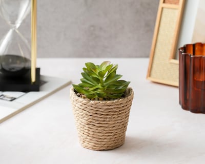 Foto 4 | Planta Artificial con Maceta Starhaus 12 cm