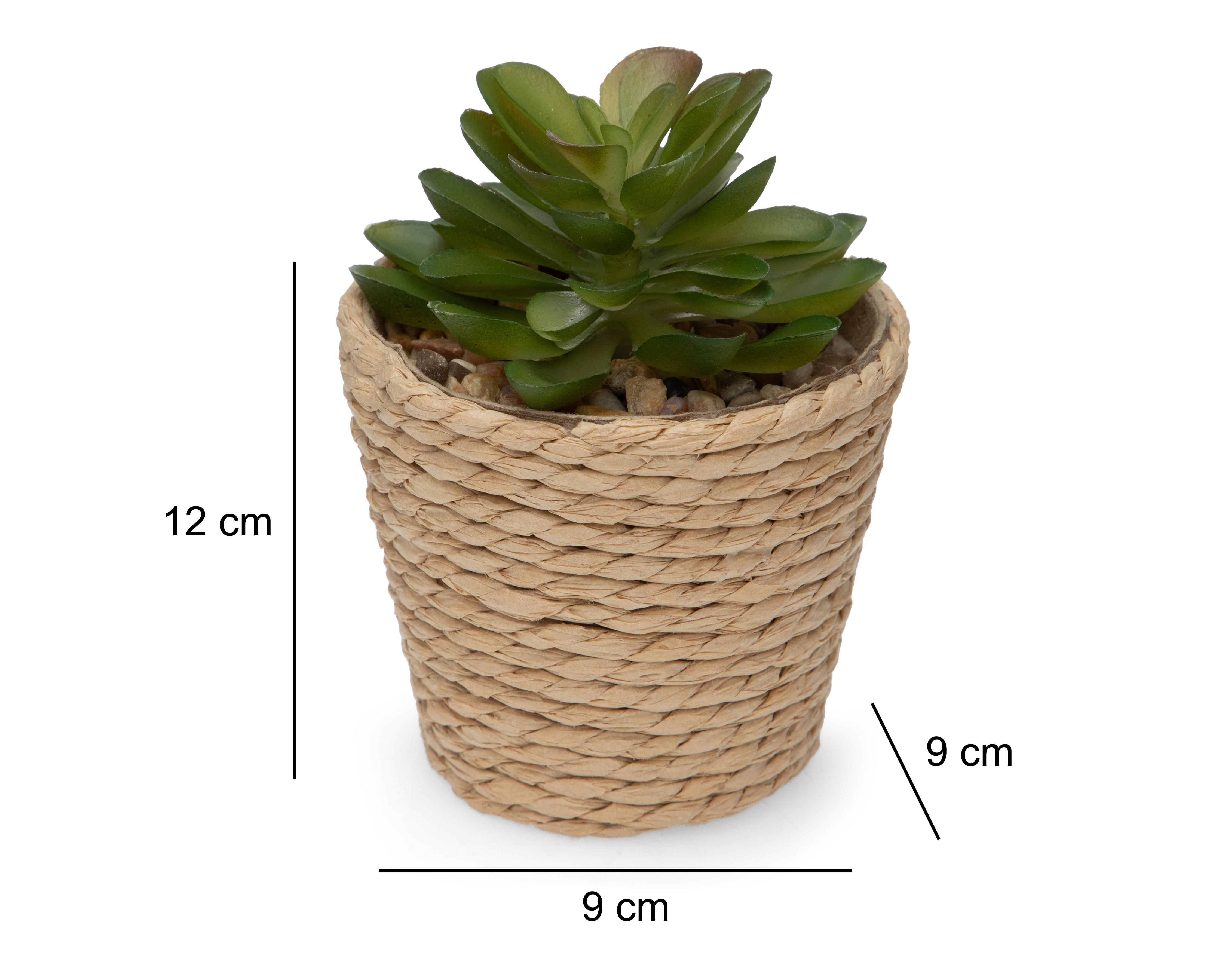 Foto 6 pulgar | Planta Artificial con Maceta Starhaus 12 cm