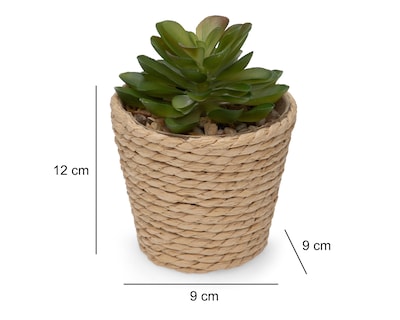 Foto 5 | Planta Artificial con Maceta Starhaus 12 cm