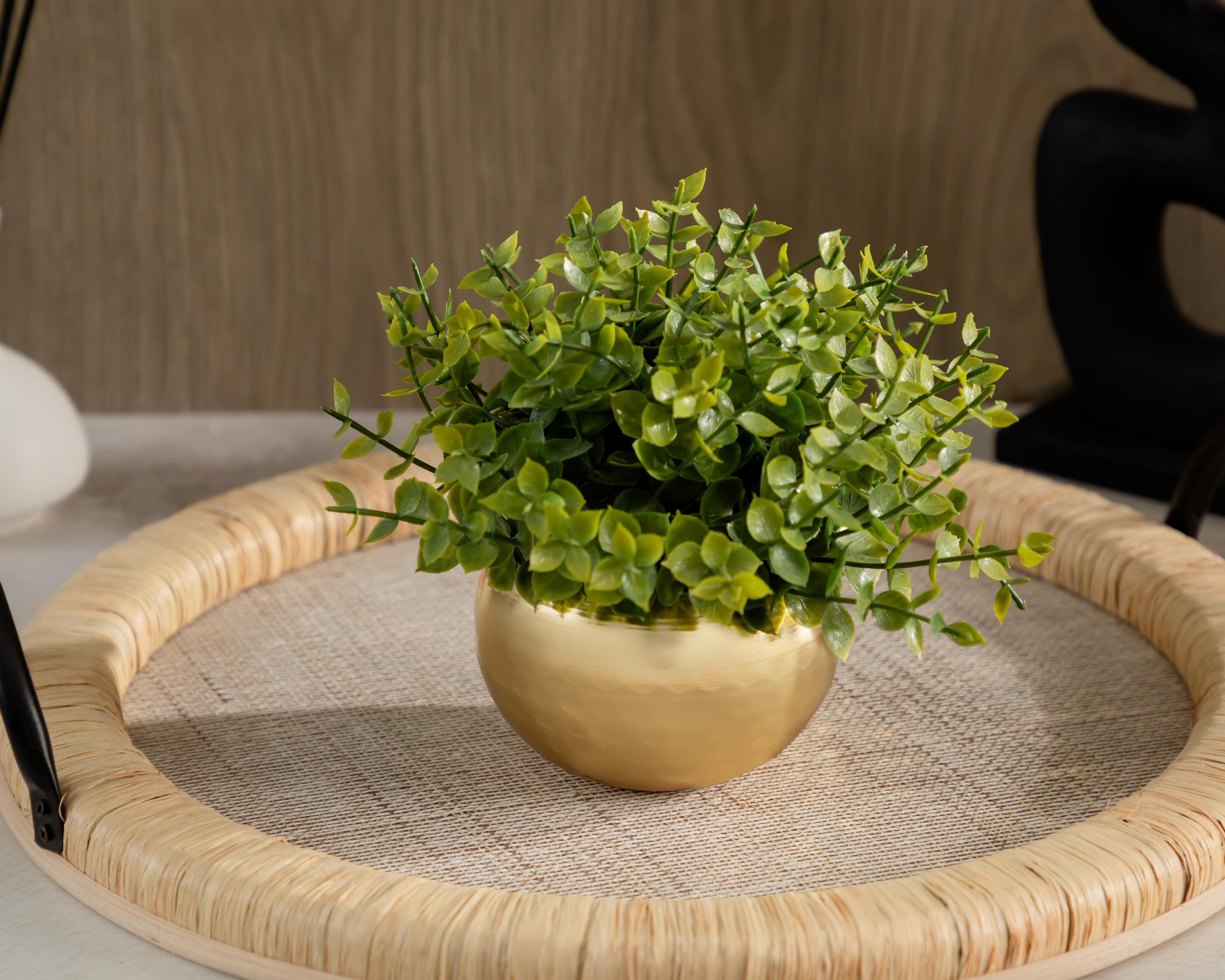 Foto 5 pulgar | Planta Artificial con Maceta Starhaus 15 cm