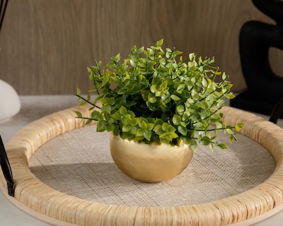 Foto 4 | Planta Artificial con Maceta Starhaus 15 cm