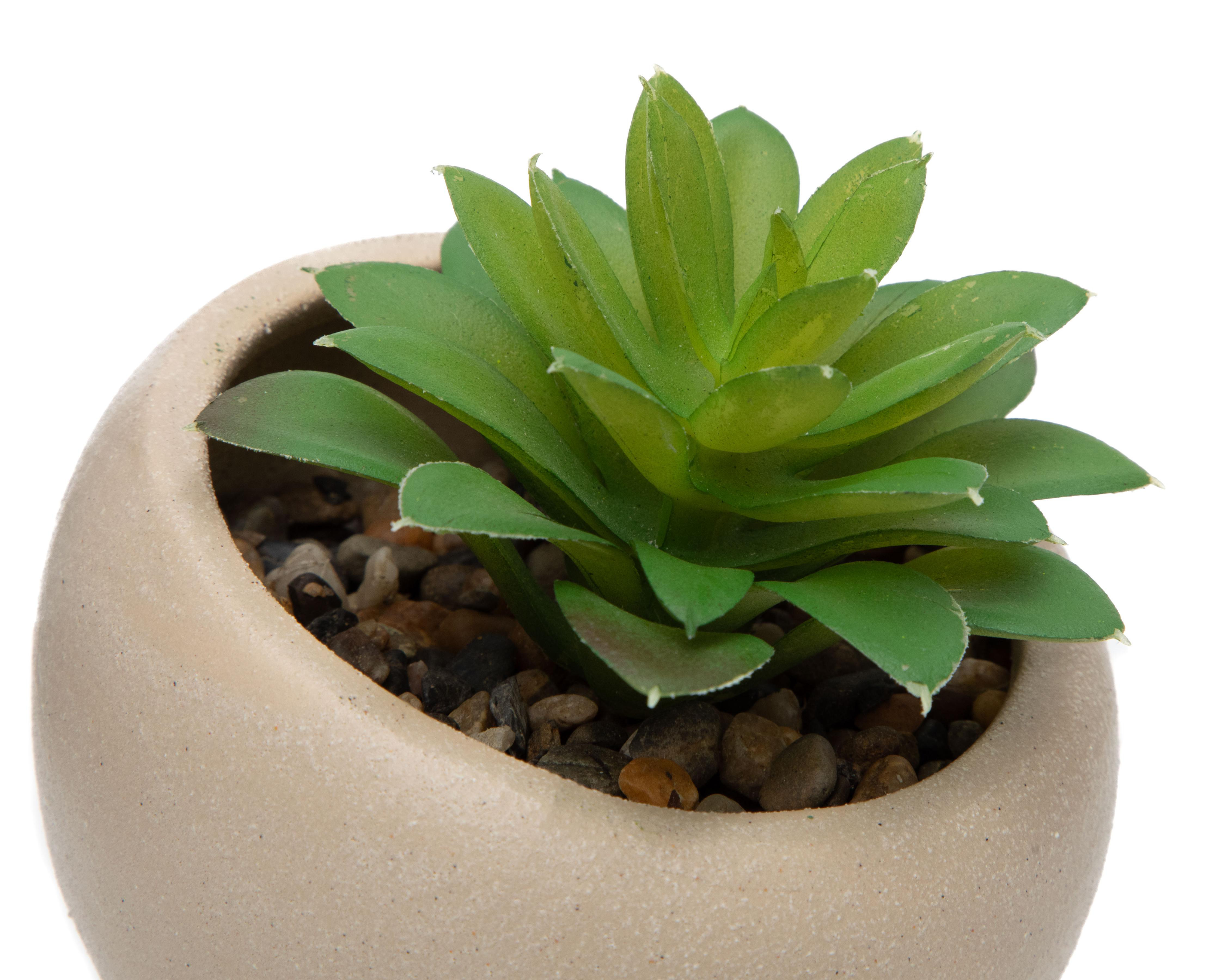 Foto 4 pulgar | Suculenta Artificial con Maceta Starhaus 12 cm