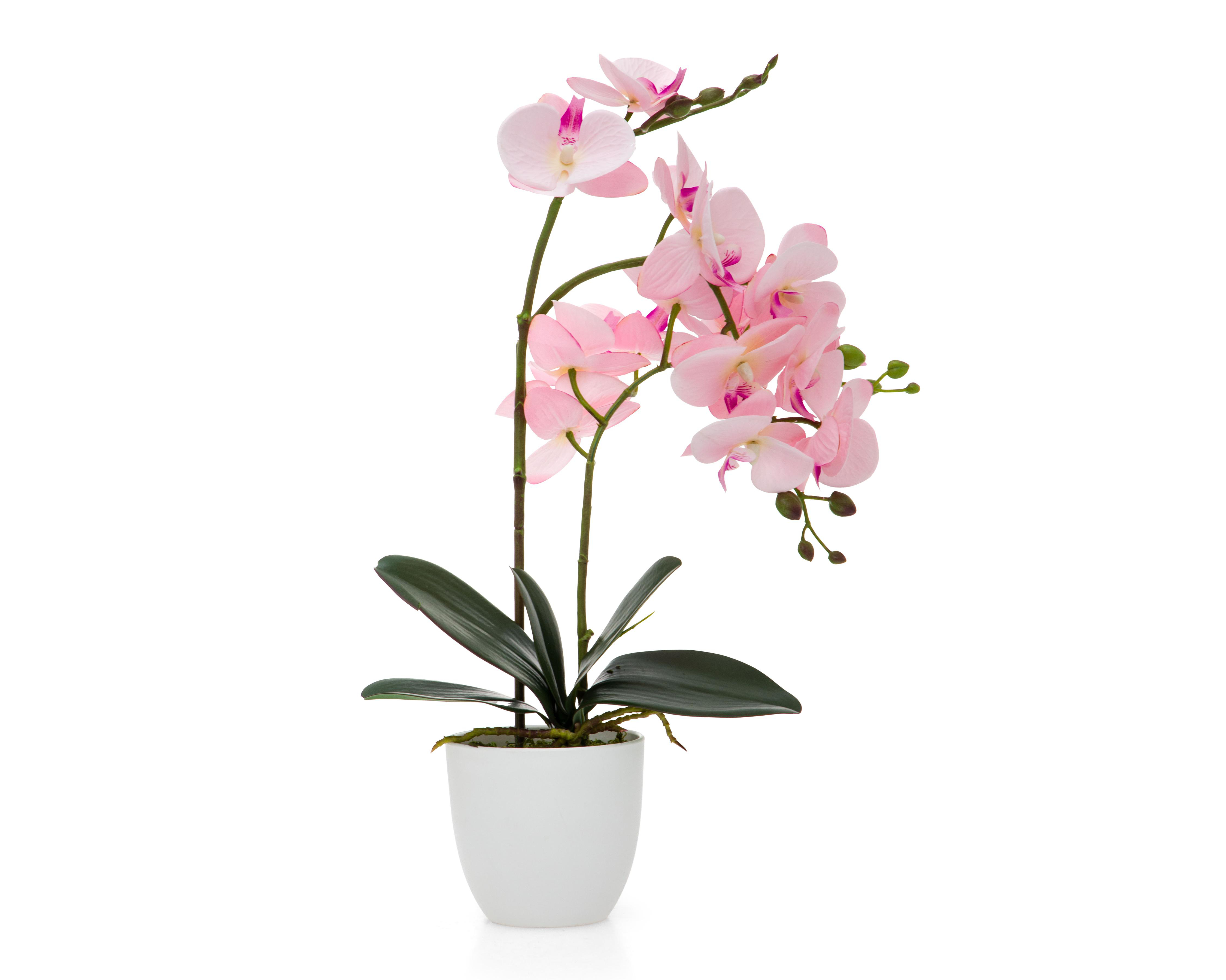 Foto 2 pulgar | Orquídea Artificial con Maceta Starhaus 50 cm