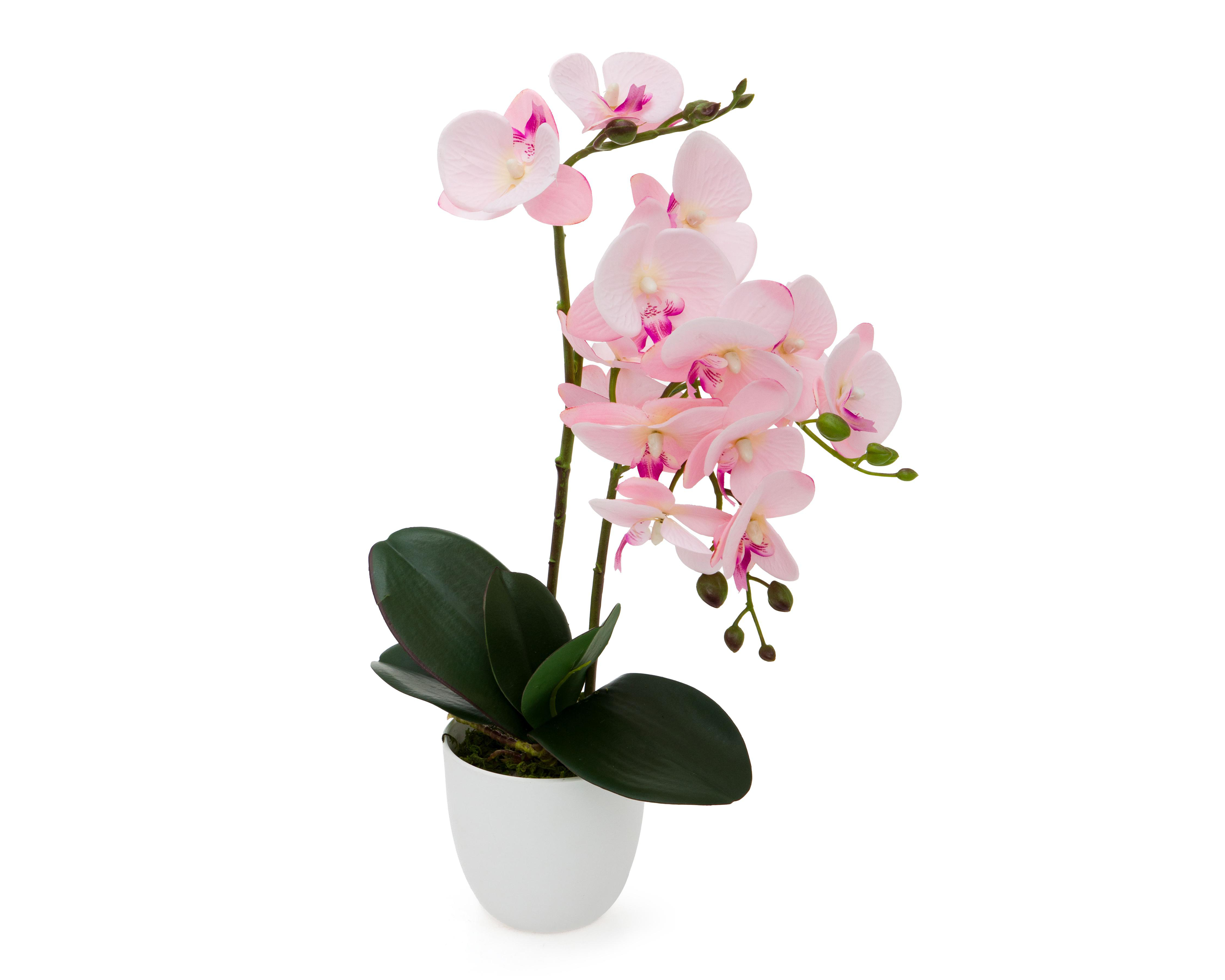 Foto 3 pulgar | Orquídea Artificial con Maceta Starhaus 50 cm