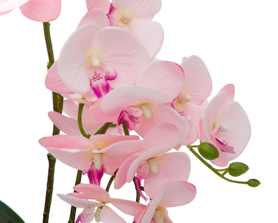 Foto 3 | Orquídea Artificial con Maceta Starhaus 50 cm