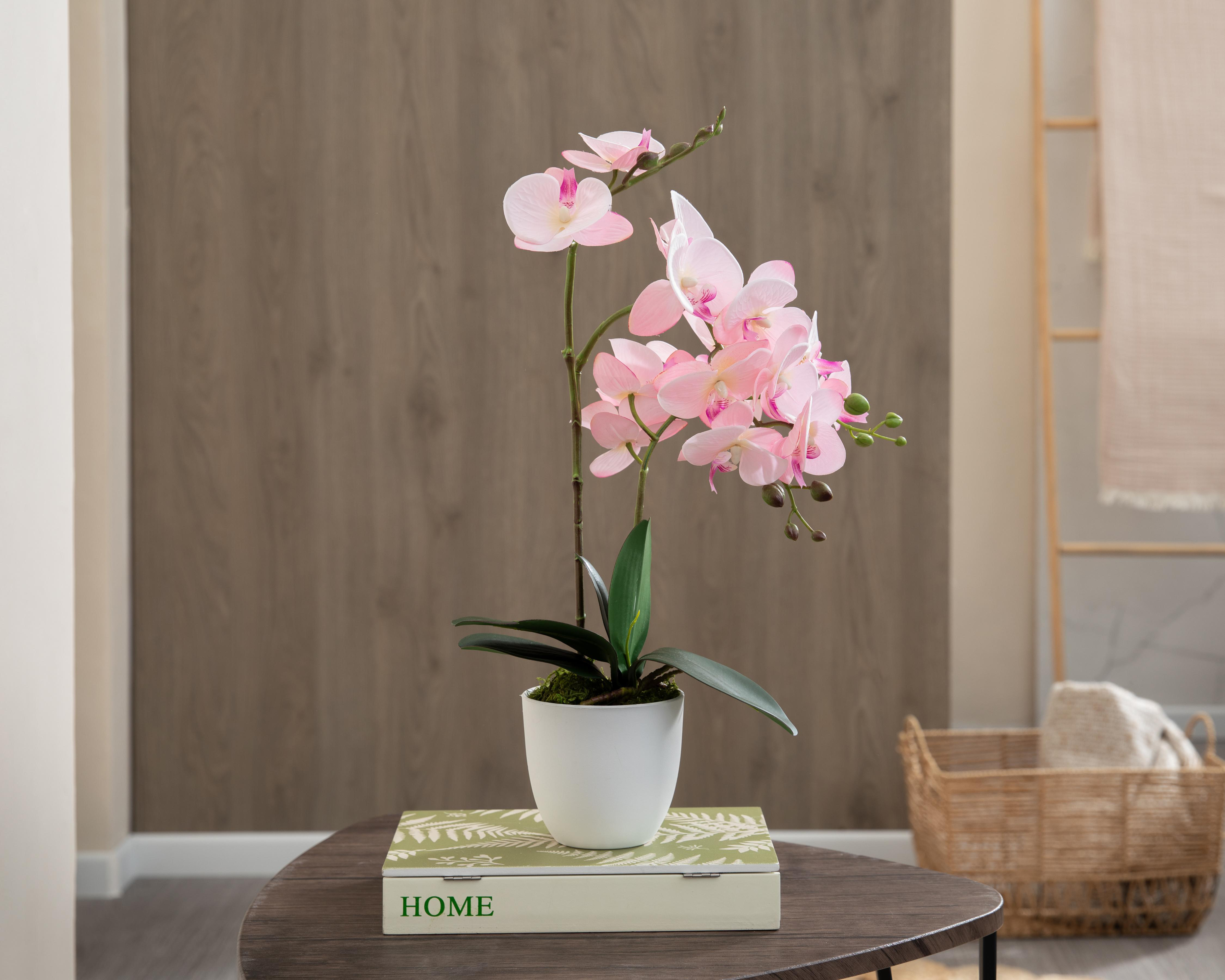 Foto 4 | Orquídea Artificial con Maceta Starhaus 50 cm