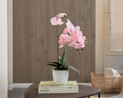 Foto 4 | Orquídea Artificial con Maceta Starhaus 50 cm