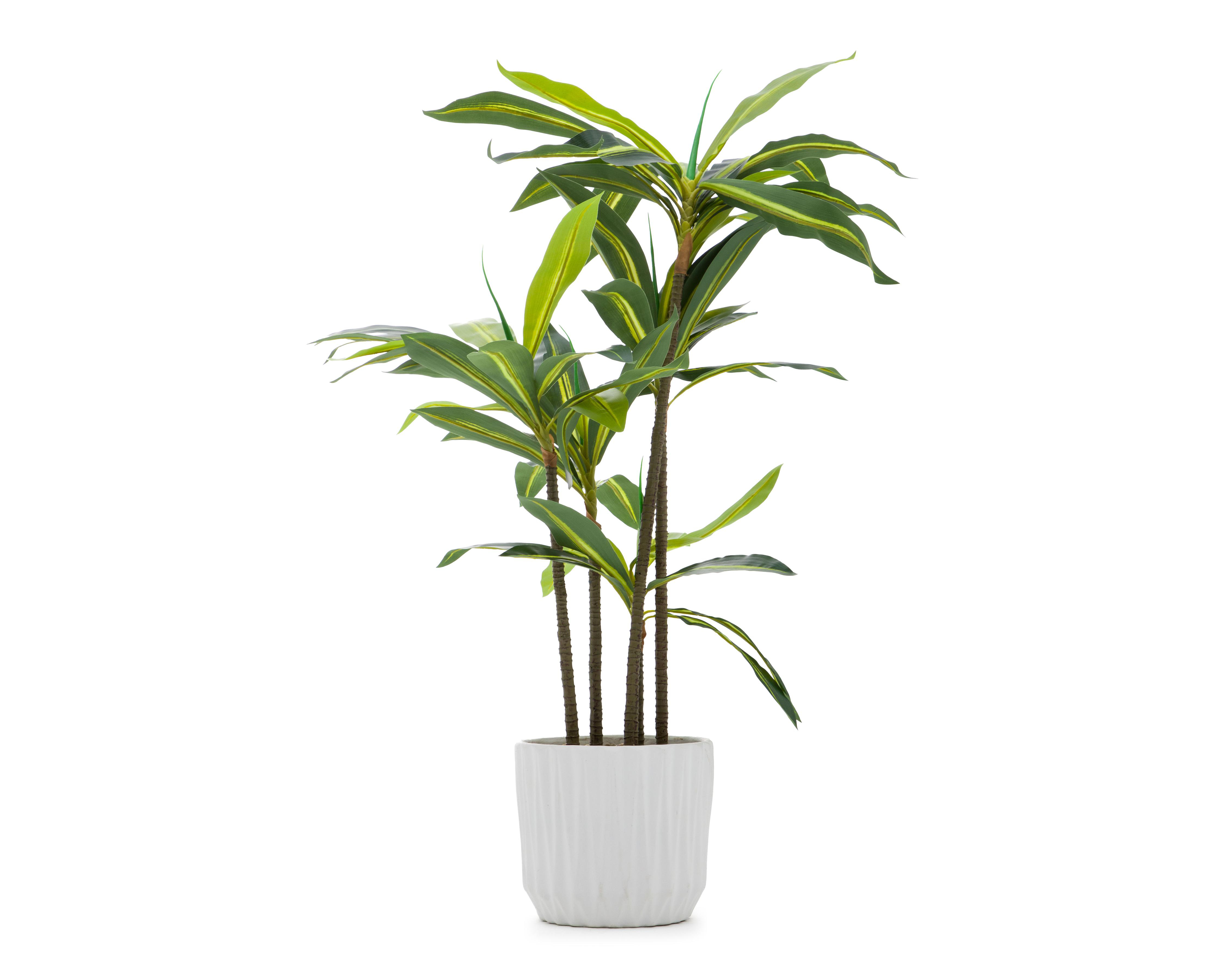Foto 1 | Palo de Brasil Artificial con Maceta Starhaus 112 cm