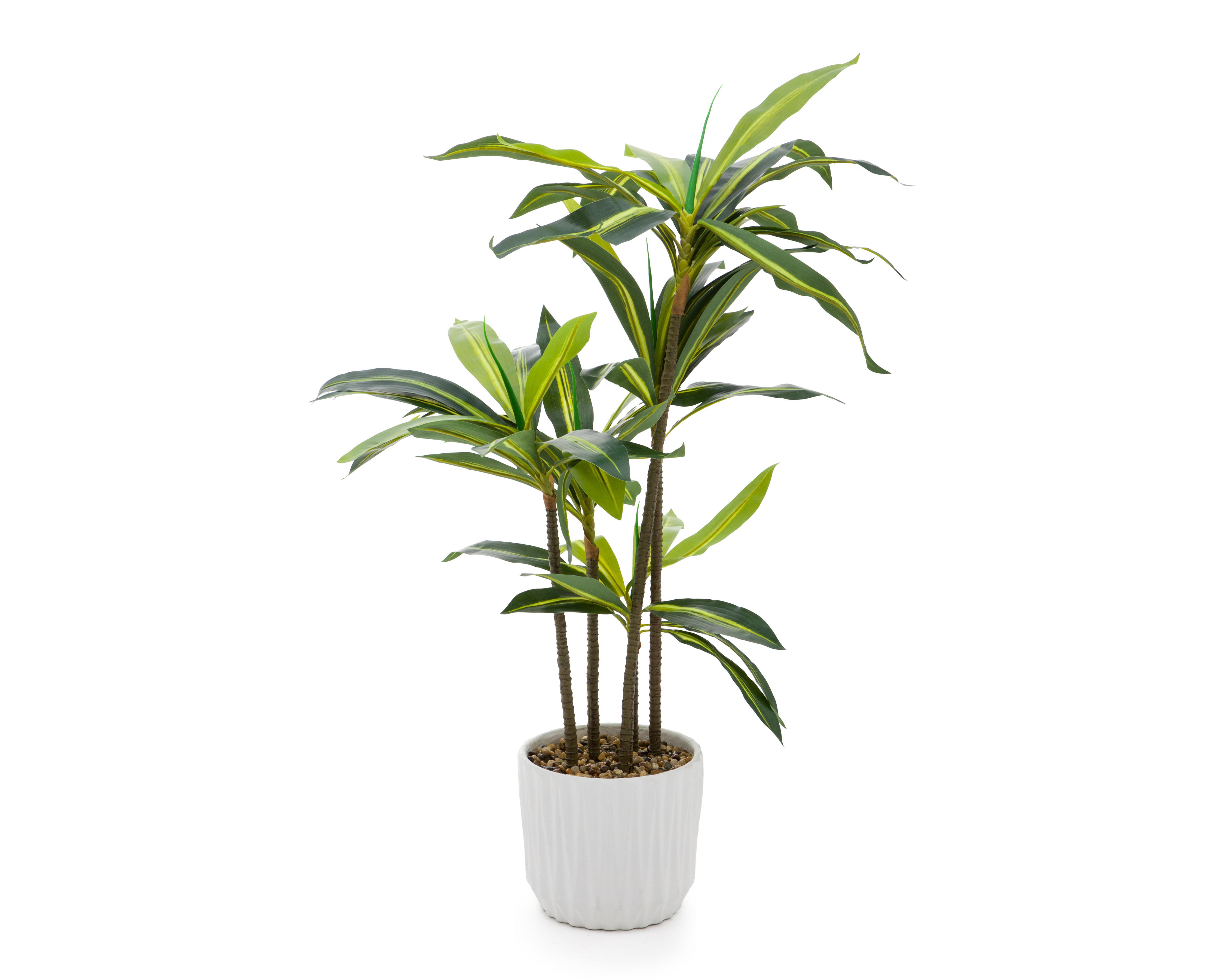 Foto 3 pulgar | Palo de Brasil Artificial con Maceta Starhaus 112 cm