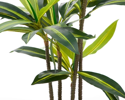Foto 3 | Palo de Brasil Artificial con Maceta Starhaus 112 cm