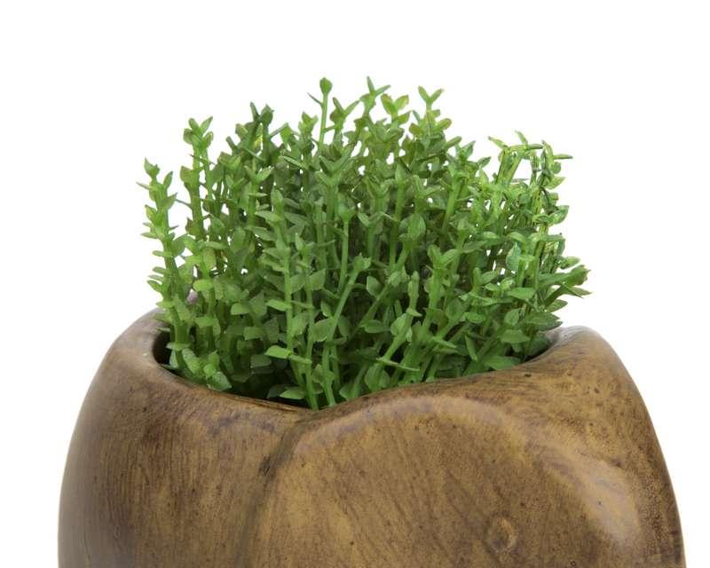 Foto 4 pulgar | Maceta Decorativa Brown Slon