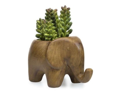 Foto 1 | Maceta Decorativa Slon Brown B