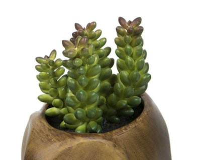 Foto 4 | Maceta Decorativa Slon Brown B