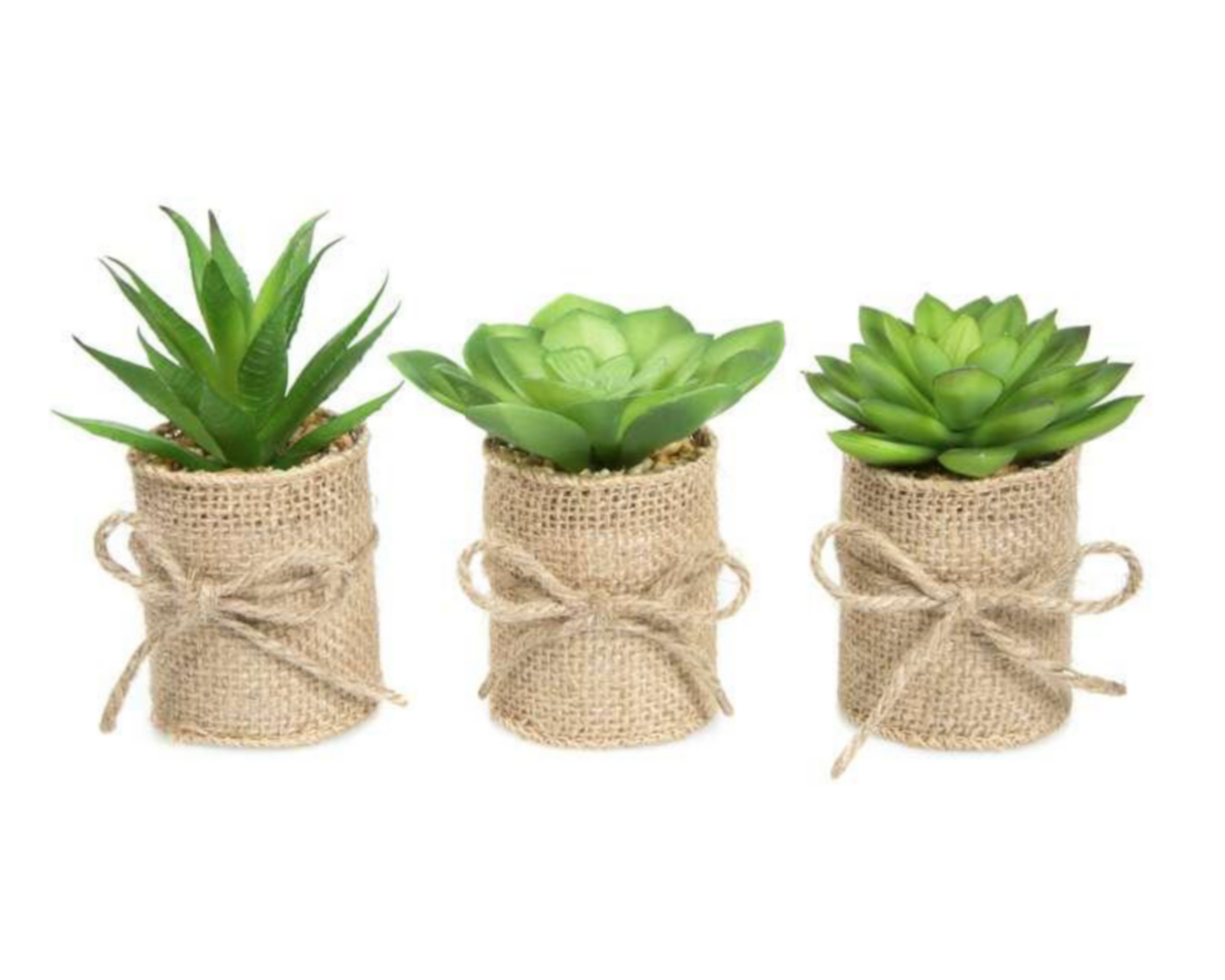 Foto 2 pulgar | Set de Plantas Decorativas Mini Leticias