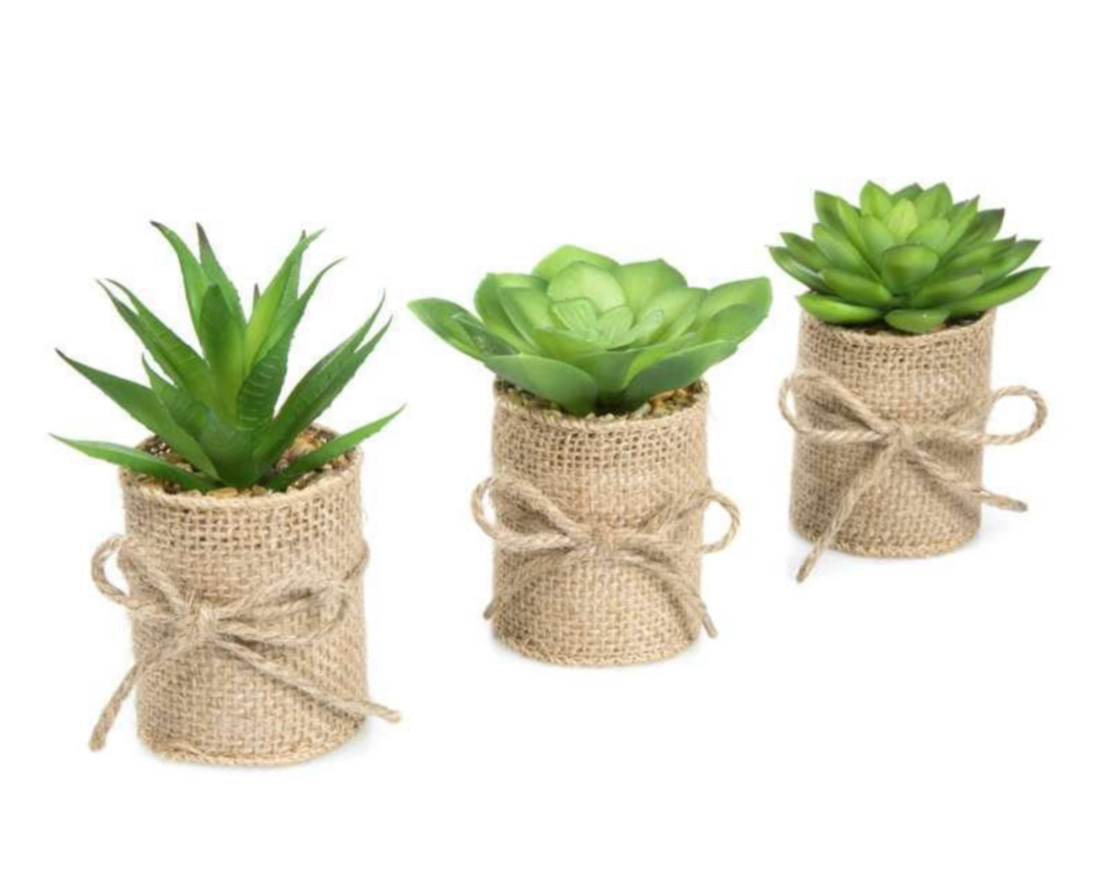 Foto 3 pulgar | Set de Plantas Decorativas Mini Leticias