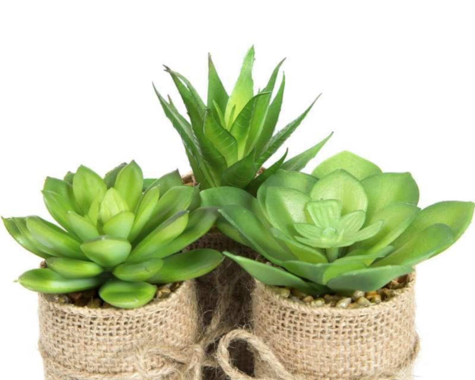 Foto 4 pulgar | Set de Plantas Decorativas Mini Leticias