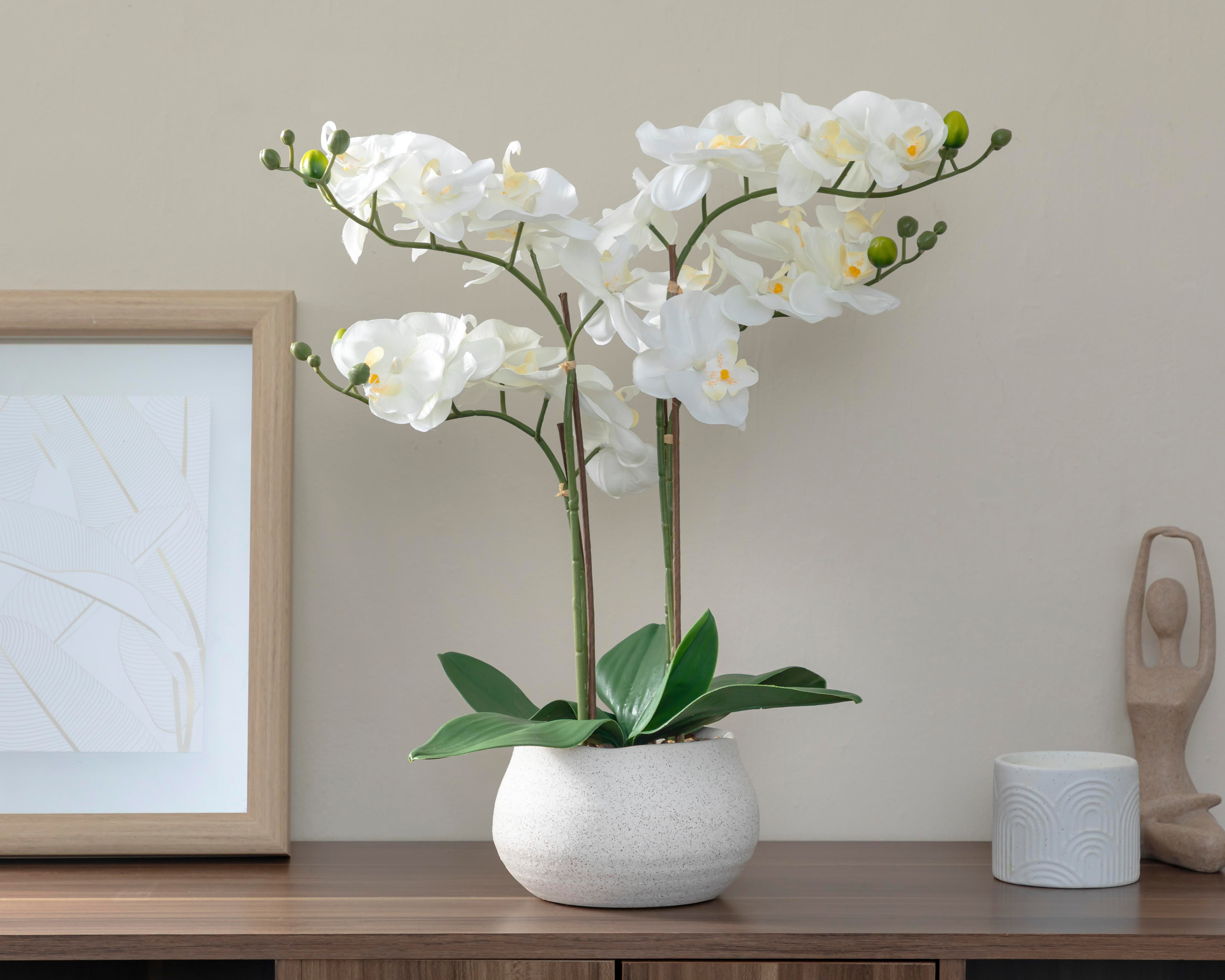 Foto 5 pulgar | Orquídea Artificial con Maceta Starhaus 48 cm