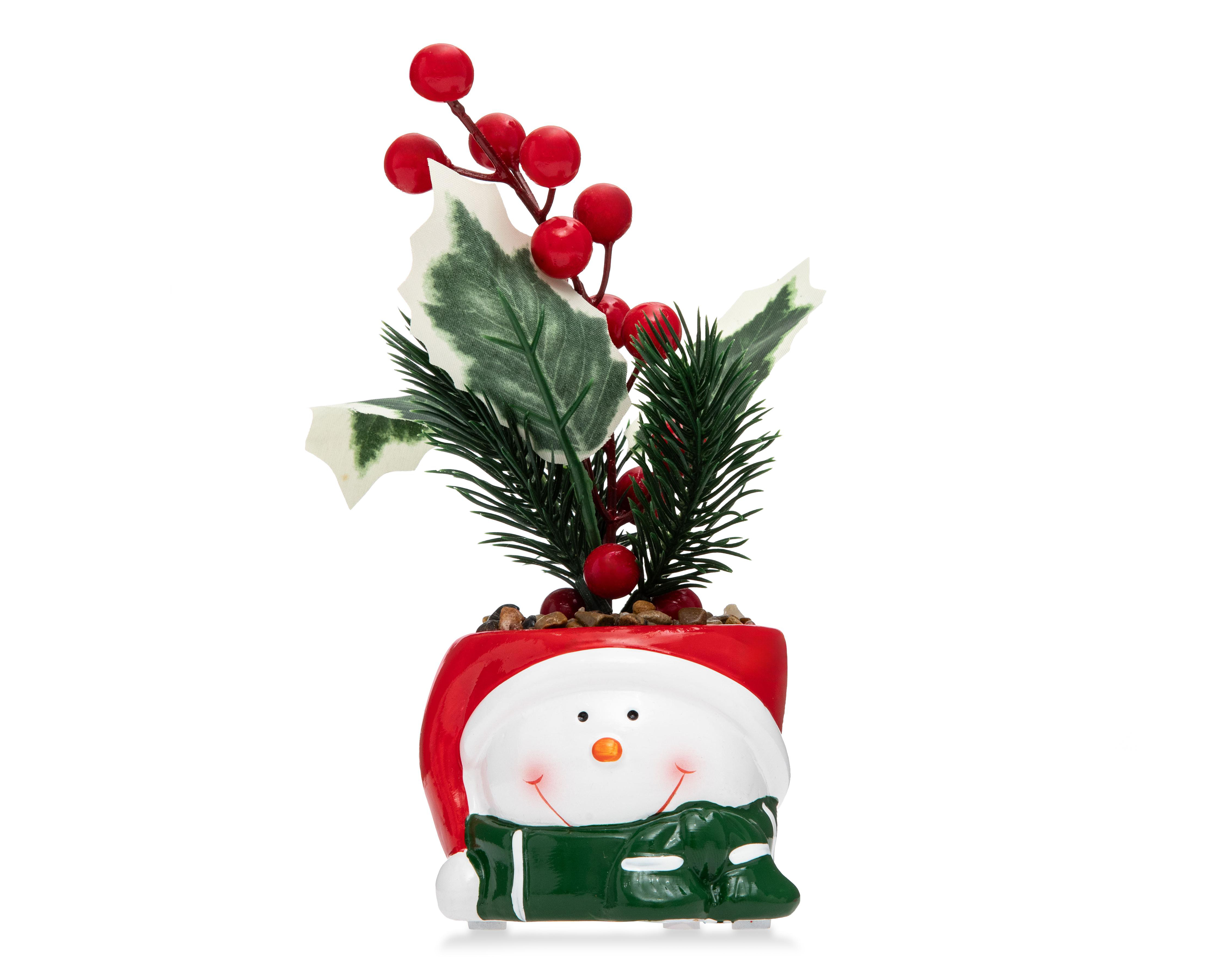 Foto 2 pulgar | Planta Decorativa Starhaus Snowman Rusco 18 cm