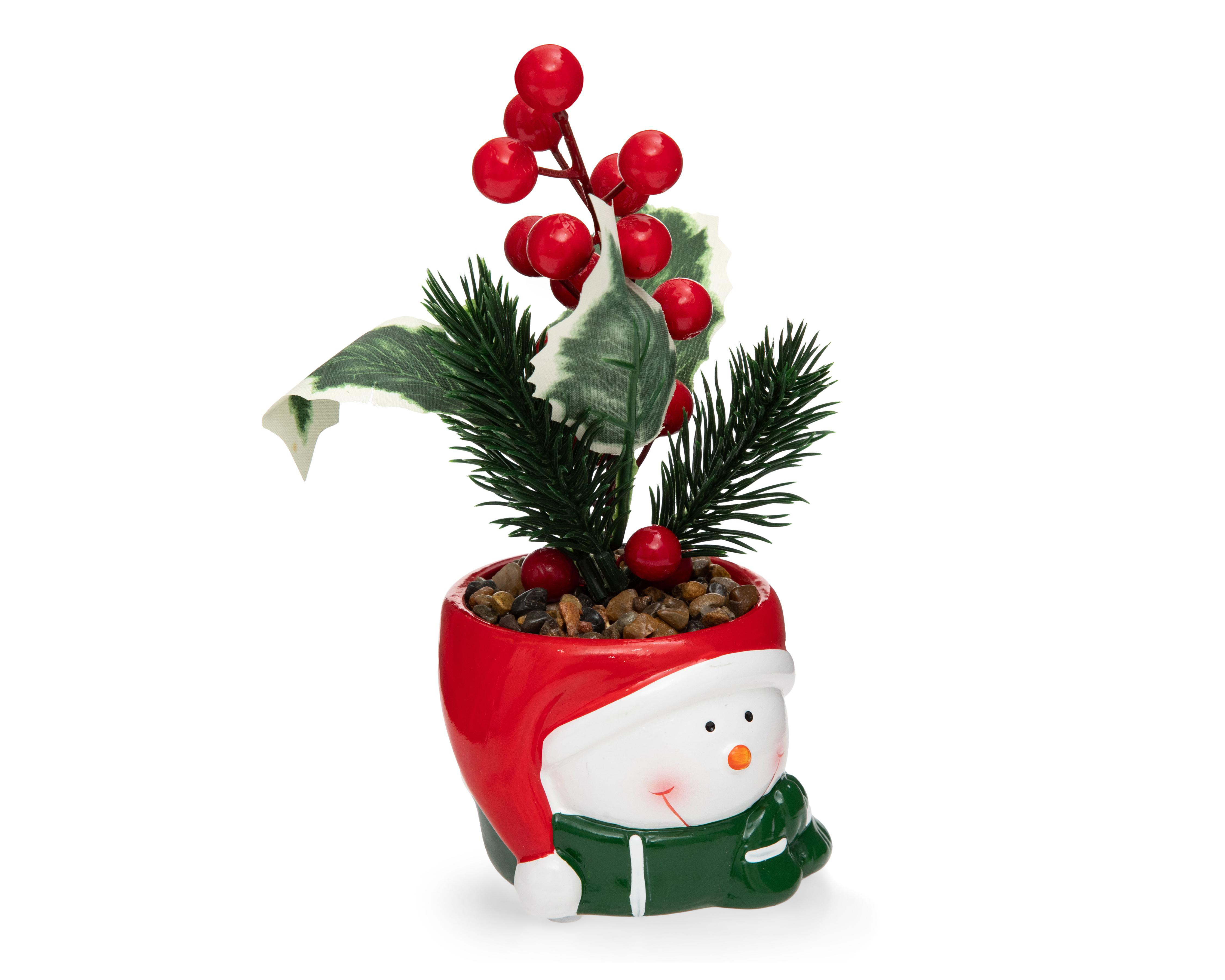 Foto 3 pulgar | Planta Decorativa Starhaus Snowman Rusco 18 cm