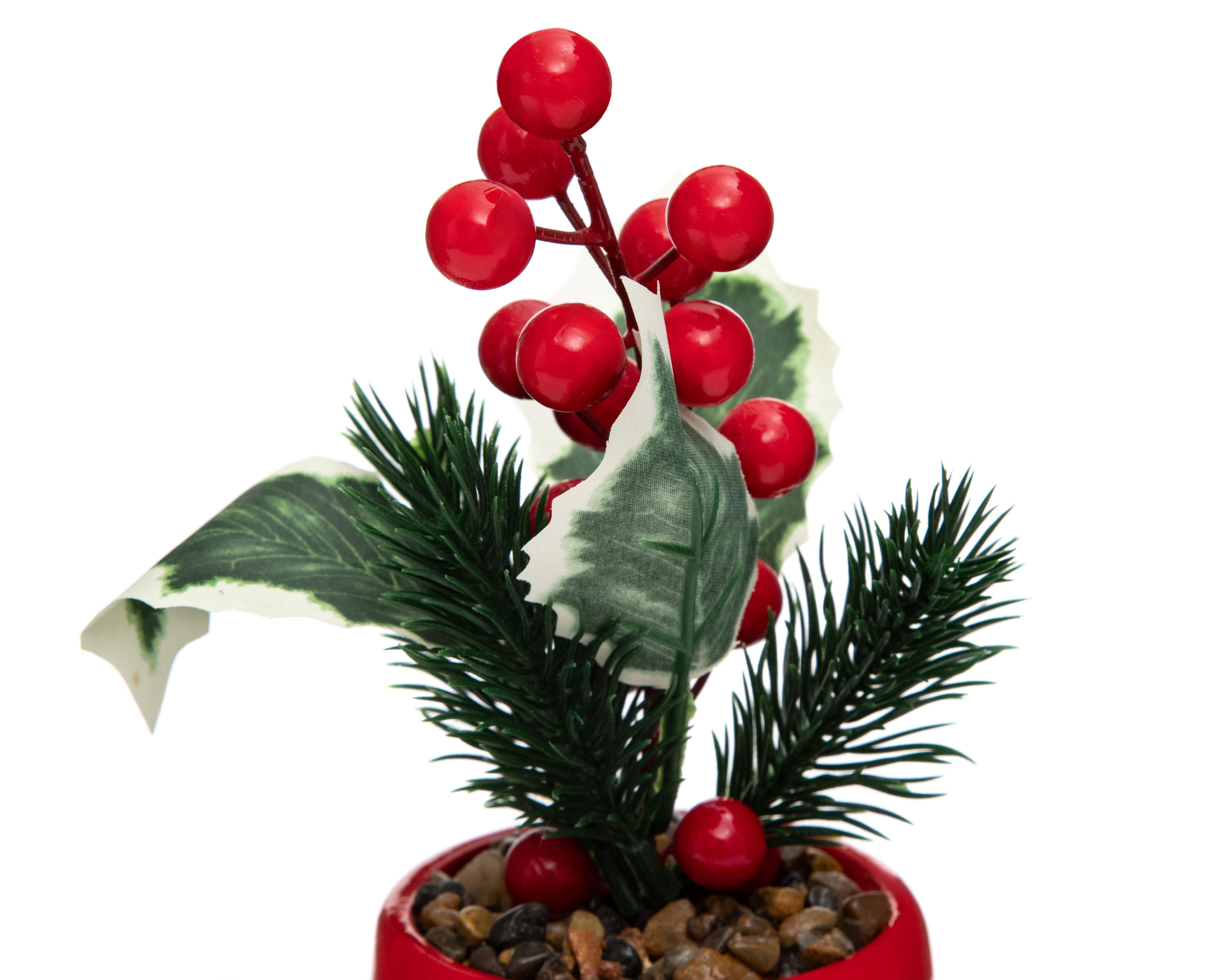 Foto 4 pulgar | Planta Decorativa Starhaus Snowman Rusco 18 cm