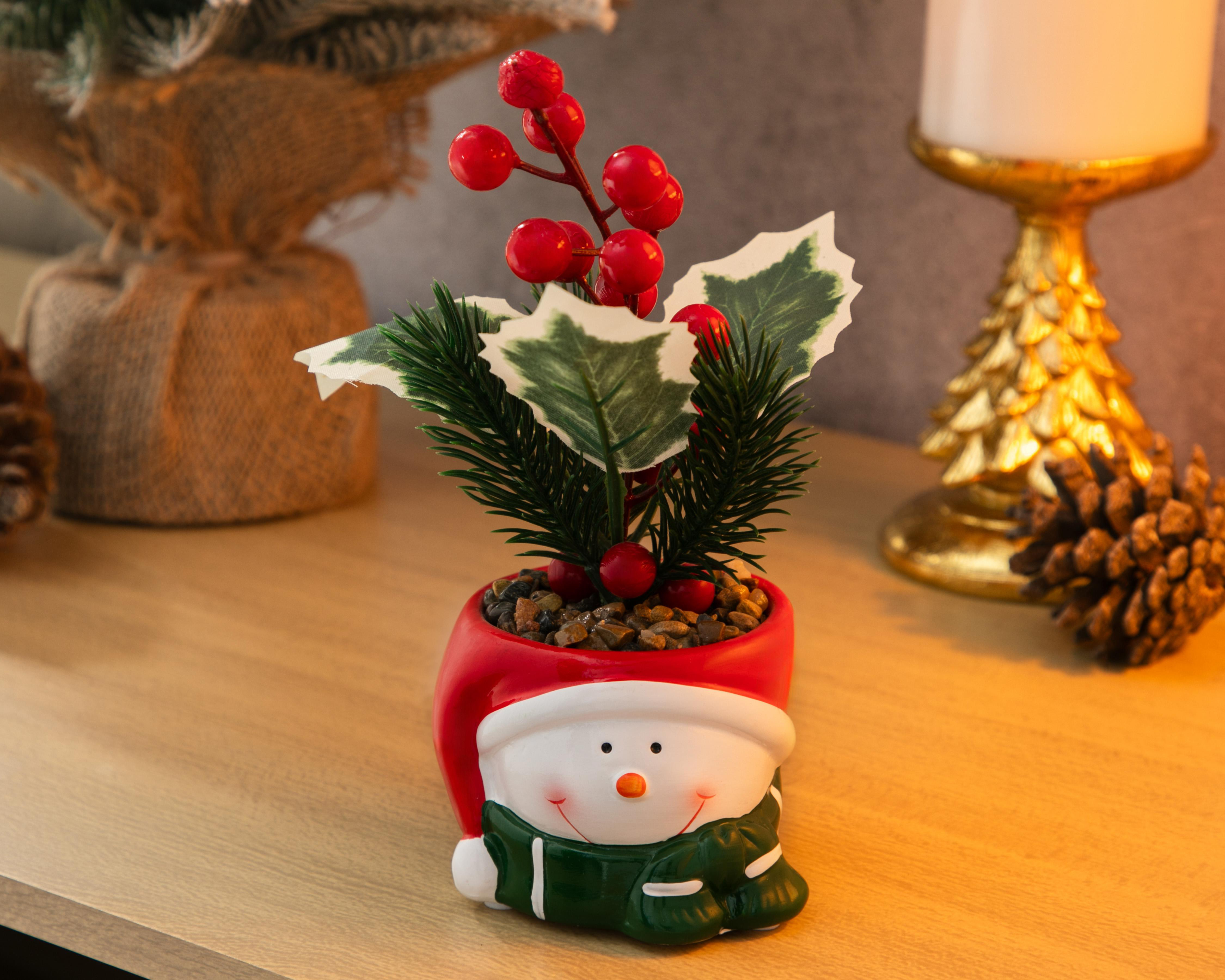 Foto 5 pulgar | Planta Decorativa Starhaus Snowman Rusco 18 cm