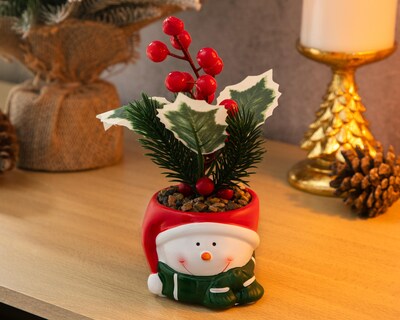 Foto 4 | Planta Decorativa Starhaus Snowman Rusco 18 cm