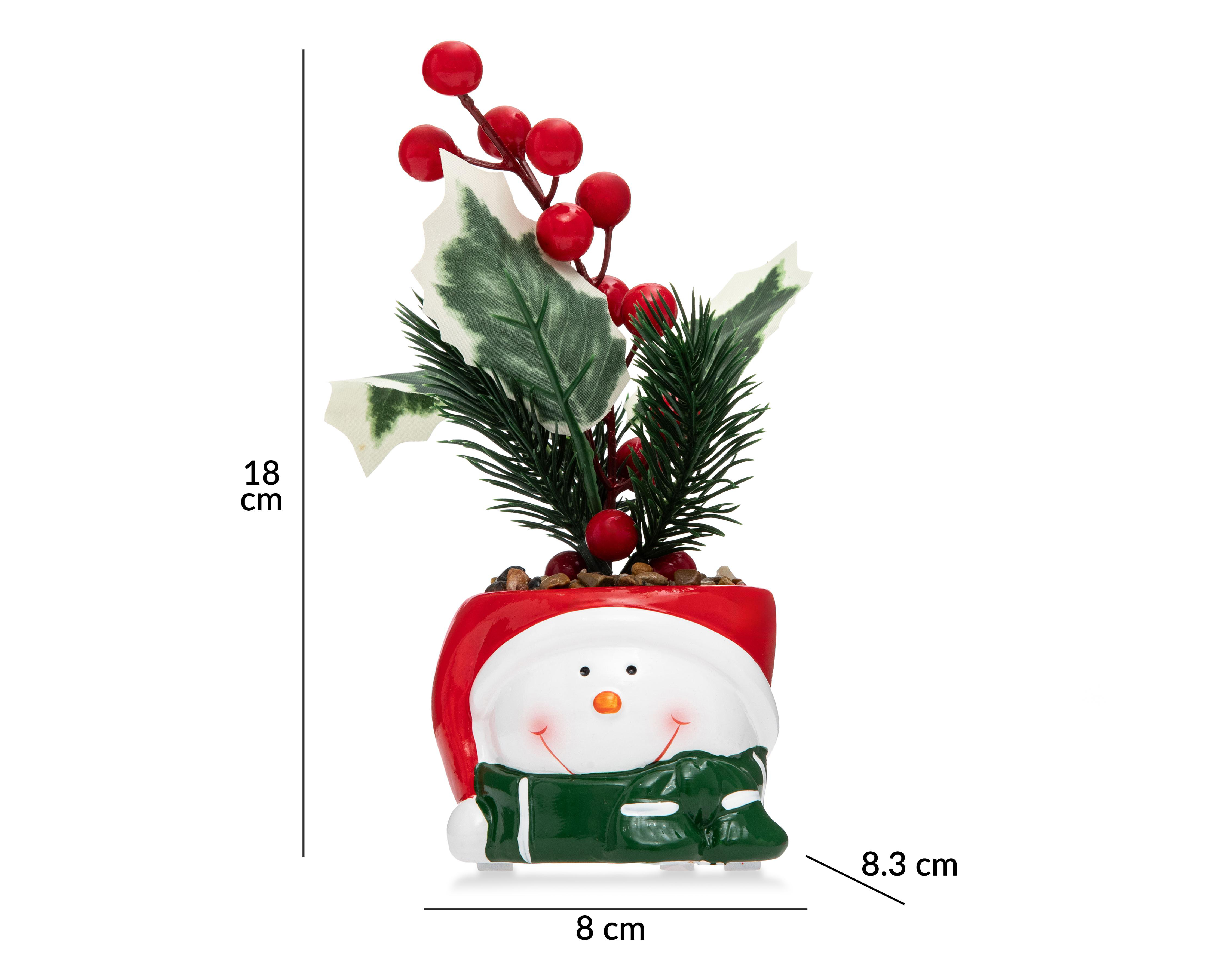 Foto 6 pulgar | Planta Decorativa Starhaus Snowman Rusco 18 cm