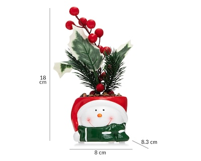 Foto 5 | Planta Decorativa Starhaus Snowman Rusco 18 cm