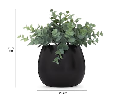 Foto 5 | Eucalipto Artificial con Maceta Starhaus 20.5 cm