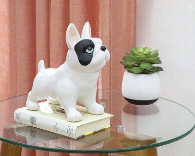 Foto 5 | Alcancia Perrito Dexter