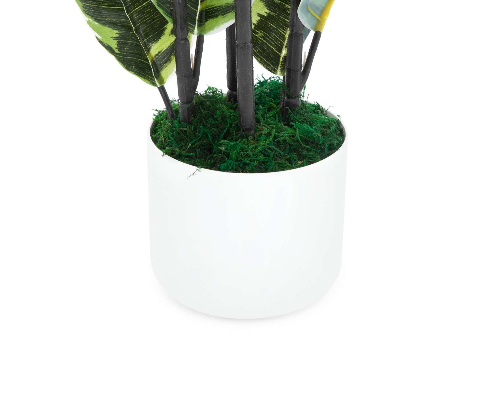 Foto 4 pulgar | Planta Artificial con Maceta Starhaus 90 cm