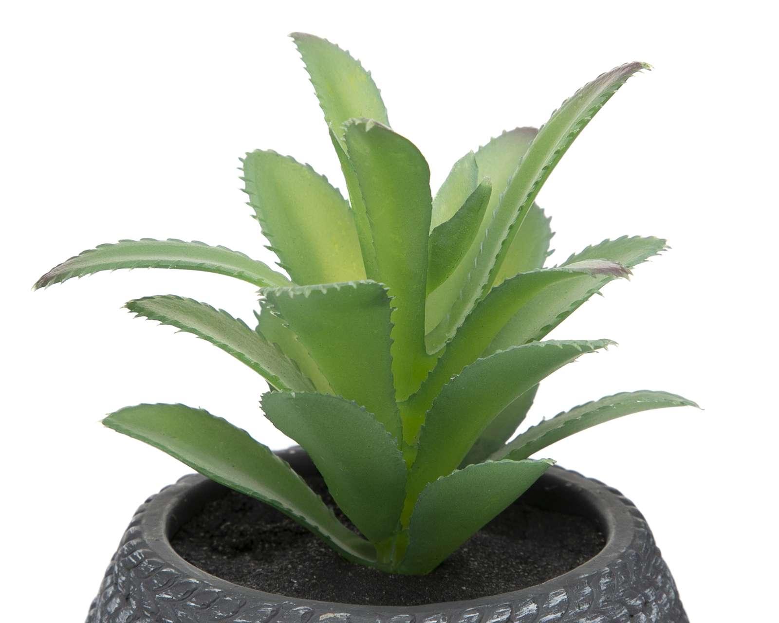 Foto 4 pulgar | Planta Artificial con Maceta Starhaus 8 cm